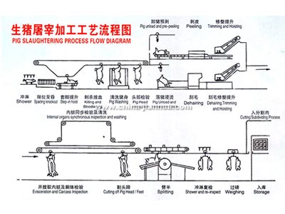 生猪PG(中国电子)游戏平台工艺示意图